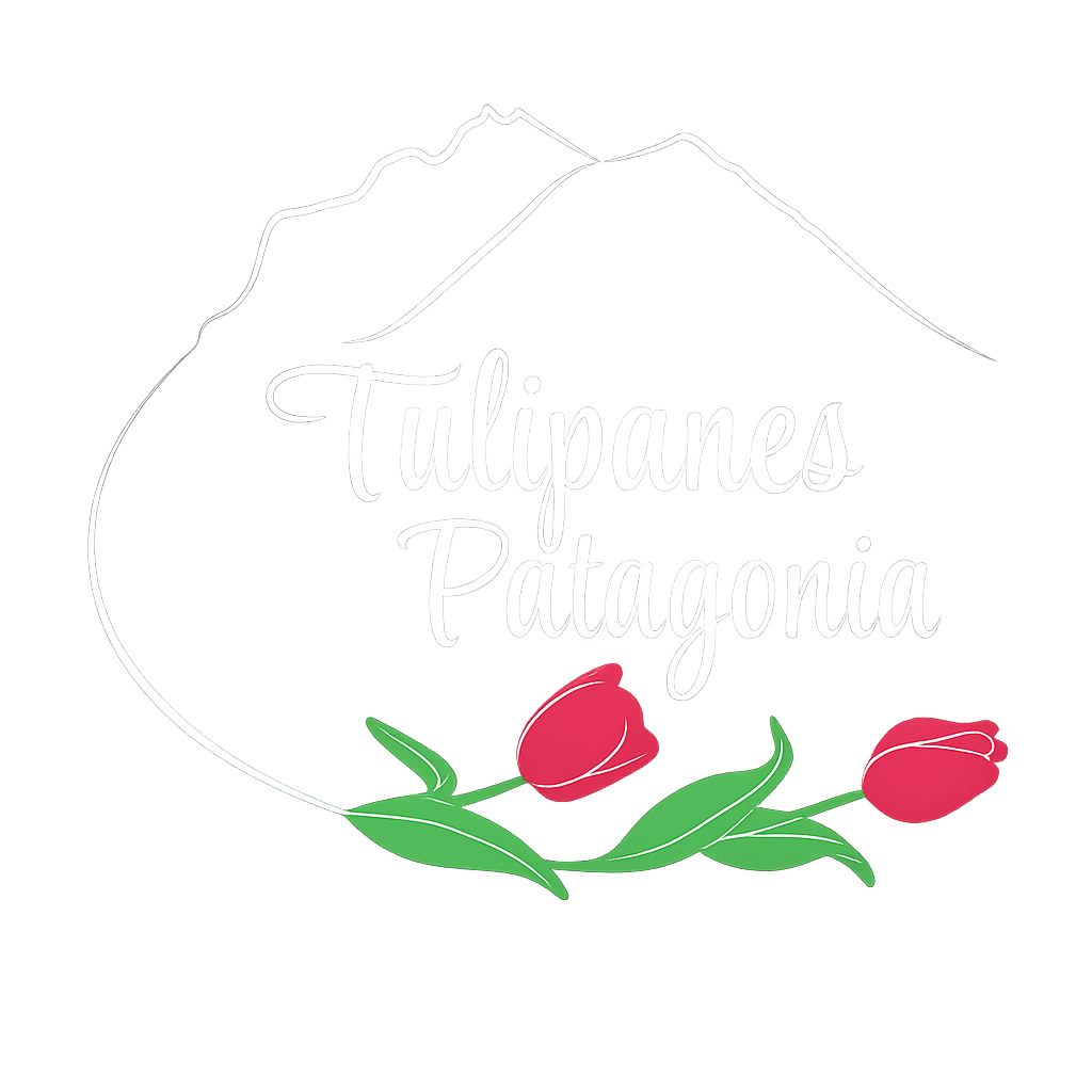 Tulipanes Patagonia